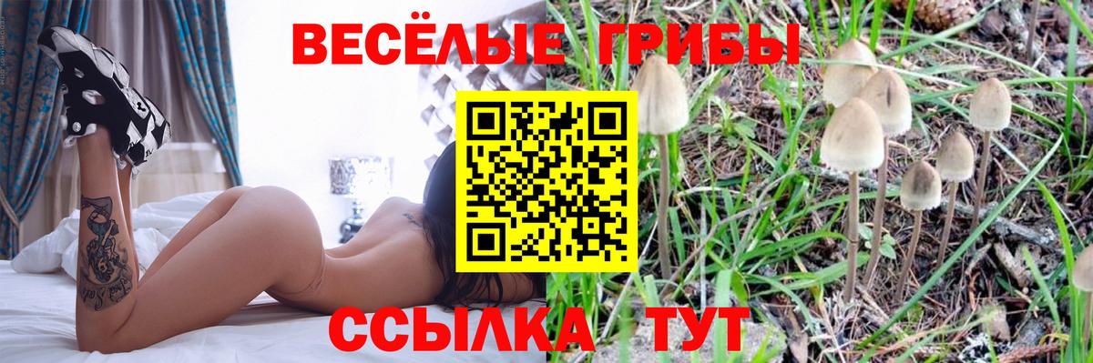 Псилоцибиновые грибы прущие грибы Белогорск